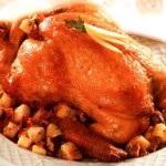 pavo