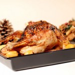 Pavo-de-Navidad