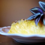 pinea